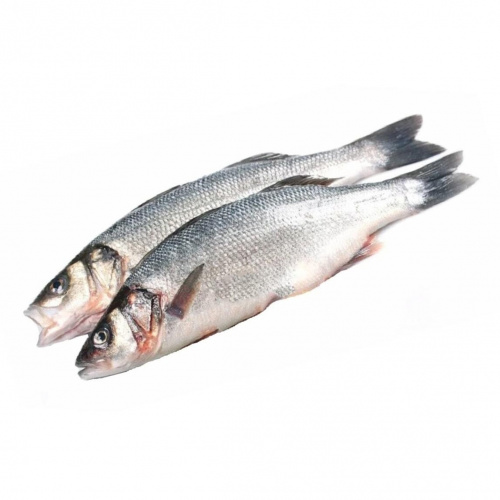 Сибас с/м 300/400 кор. 5 кг, Турция